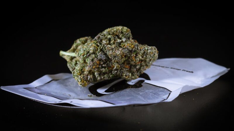 Спайс и его свойства в России