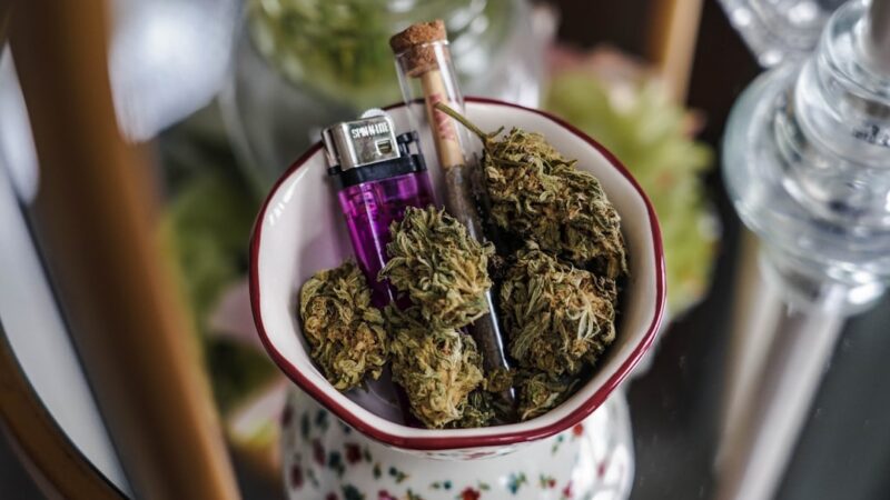 Почему не прорастают семена конопли и как это исправить