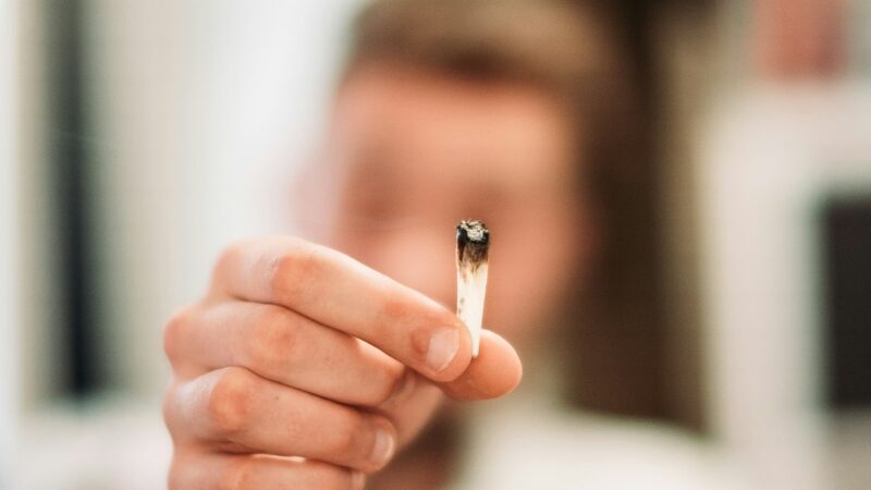 Купить семена конопли онлайн по низким ценам