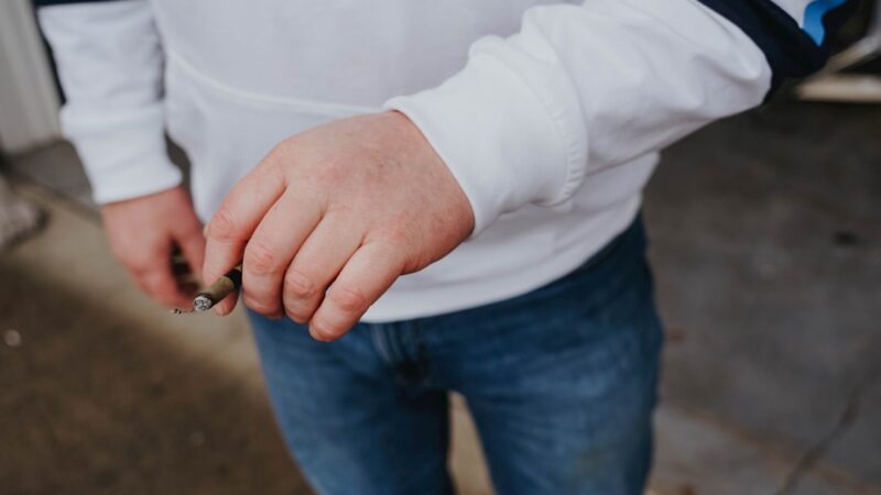 Особенности феминизированных семян конопли Sensi Skunk