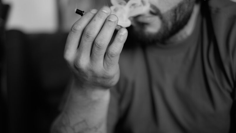 Свойства и применение темных семян конопли