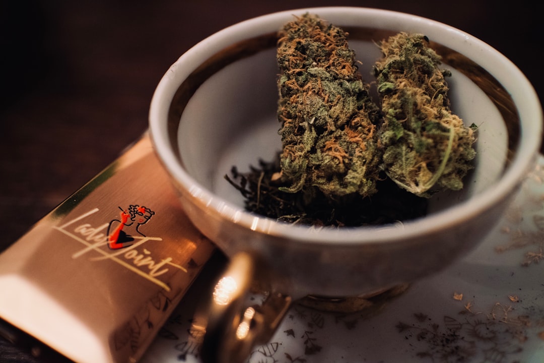 Культивирование Марихуаны и Выращивание Конопли