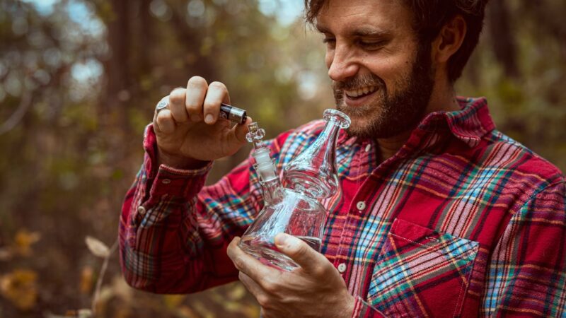 Выращивание конопли и выбор семян конопли