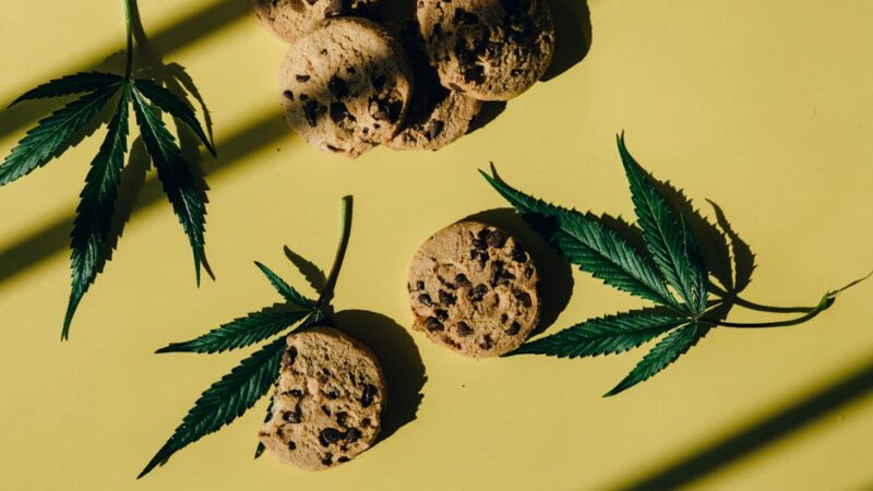 Наркозависимость в современном обществе и услуги по продаже наркотических средств в Курске