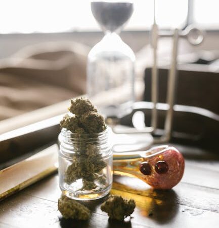 Гибридные семена конопли: характеристики и особенности выращивания