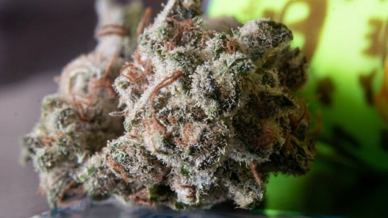 Масло семян конопли полезные свойства и применение в здоровом питании