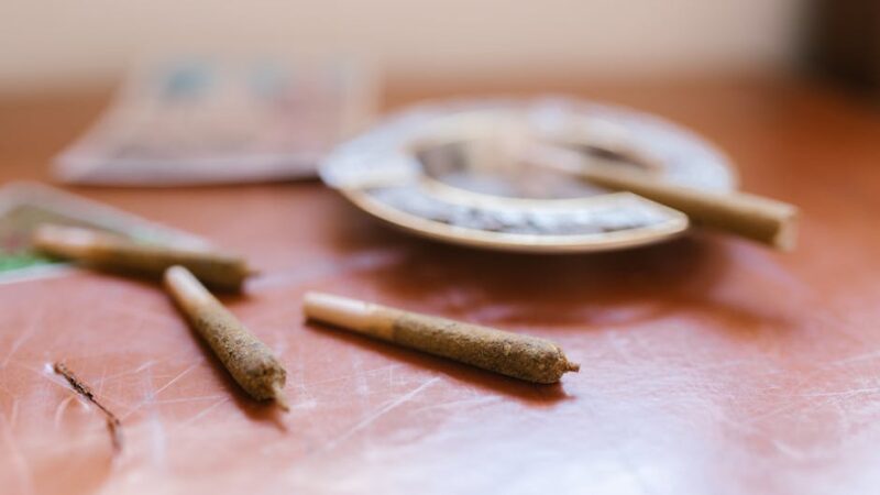 Семена конопли для северных регионов свойства и преимущества