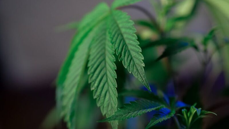 Героин в Москве: риски и последствия употребления