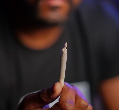 Феминизированные семена конопли Super AK от Kannabia Seeds