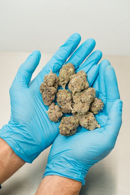 Урбеч из семян конопли свойства и преимущества конопляной пасты