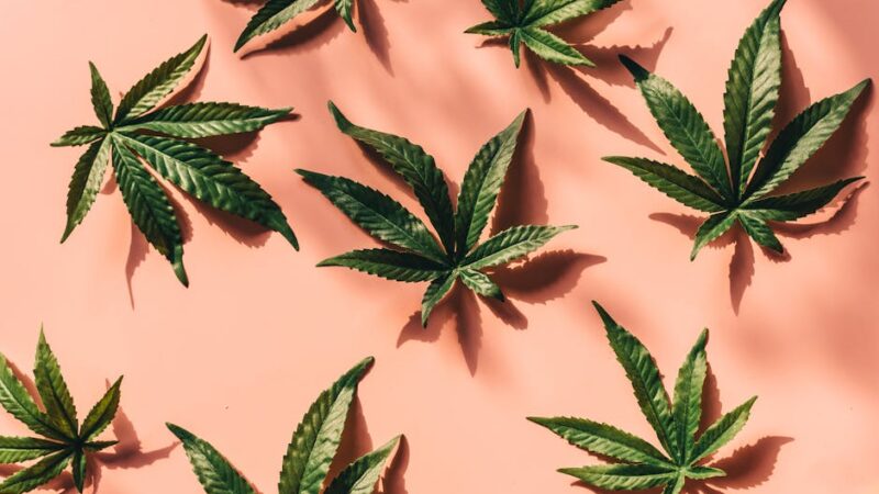 Скорость наркотик последствия употребления и способы приобретения